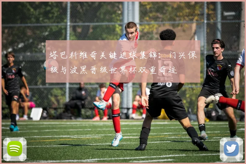塔巴科维奇关键进球集锦：门兴保级与波黑晋级世界杯双重奇迹