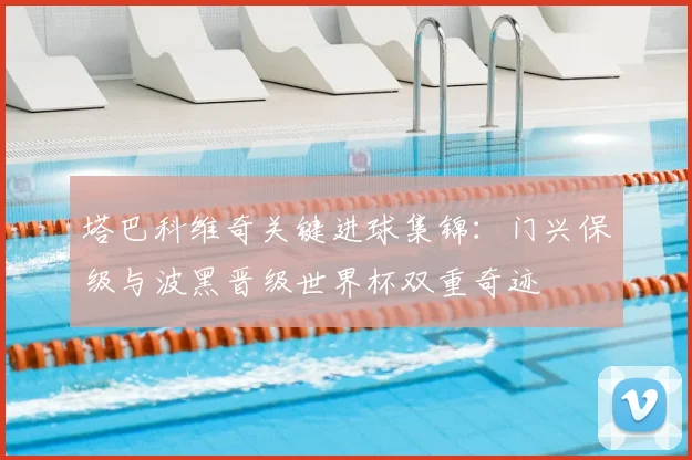 塔巴科维奇关键进球集锦:门兴保级与波黑晋级世界杯双重奇迹